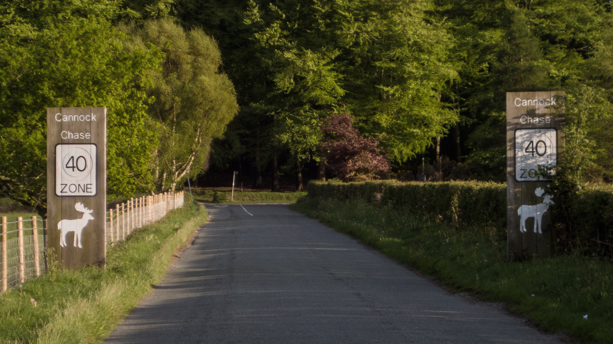 Cannock Chase 40 Zone
